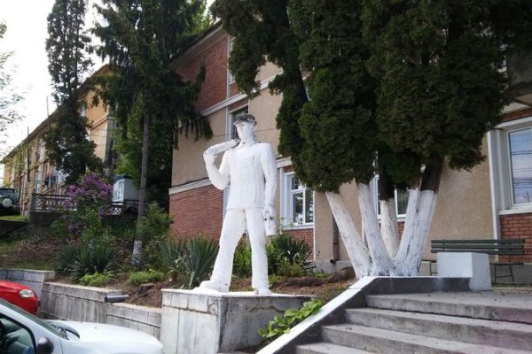 statuia-minerului-2079294B3-79AF-ACF4-F999-21A6C767CF9D.jpg