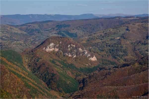 piatrarosie872303C1-820A-3D23-5B83-0D6083D3D565.jpg