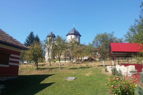 alun15BCFB975-50B5-6896-02F5-6DA3549493EF.jpg