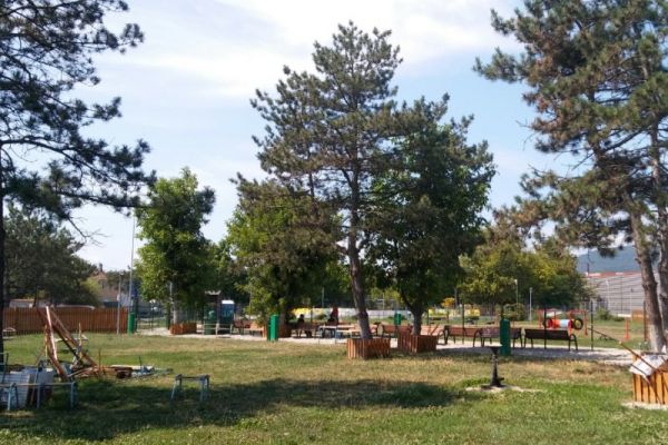 dog-park1497A8135-5CDD-23B8-4FB0-F86BB5C871A3.jpg