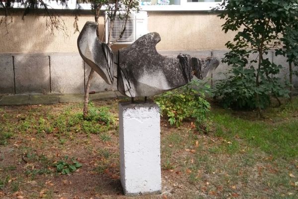 01statuitoduta8ED554B8D-6616-D567-6D8F-A802A2E6BEDB.jpg