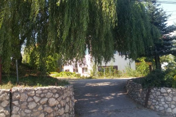 iosua13E3A99B0-DDE8-612A-DE69-7AE33F9374F1.jpg