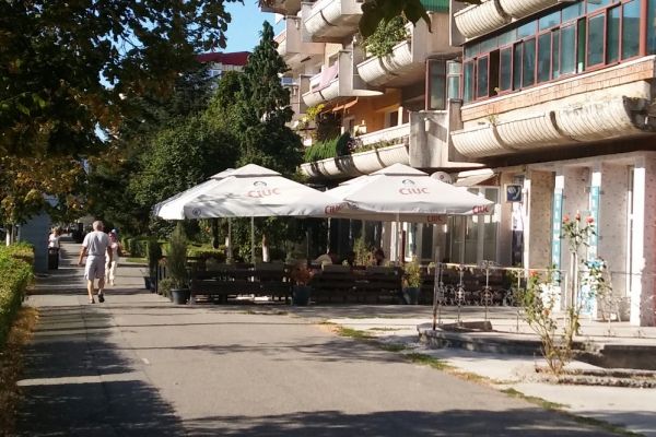 zencafeA3F2474D-E3FC-31E2-C533-648EAC18C031.jpg